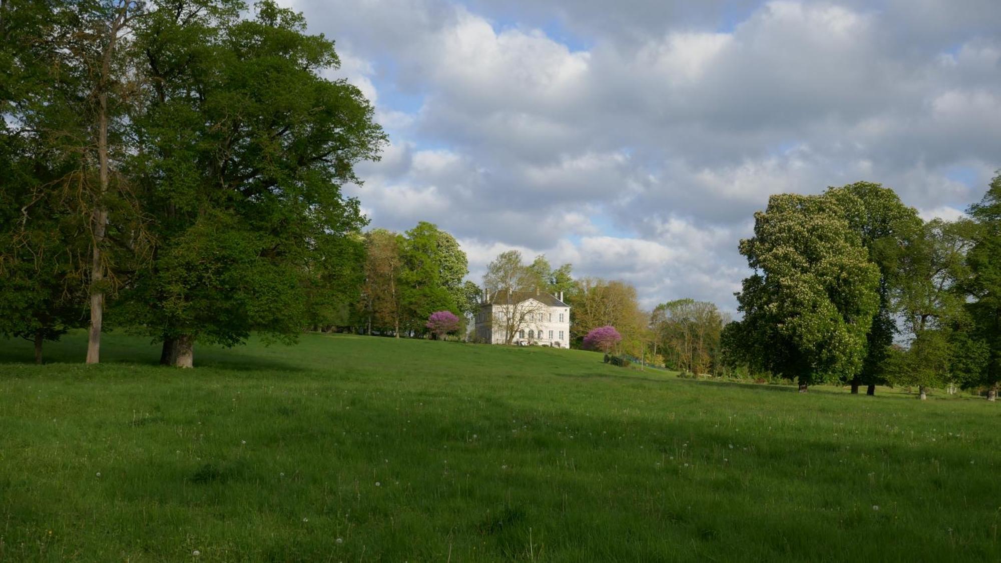 B&B Chateau De Preuil Vallenay Екстер'єр фото