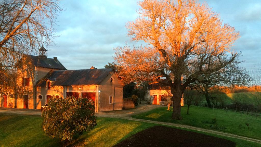 B&B Chateau De Preuil Vallenay Екстер'єр фото